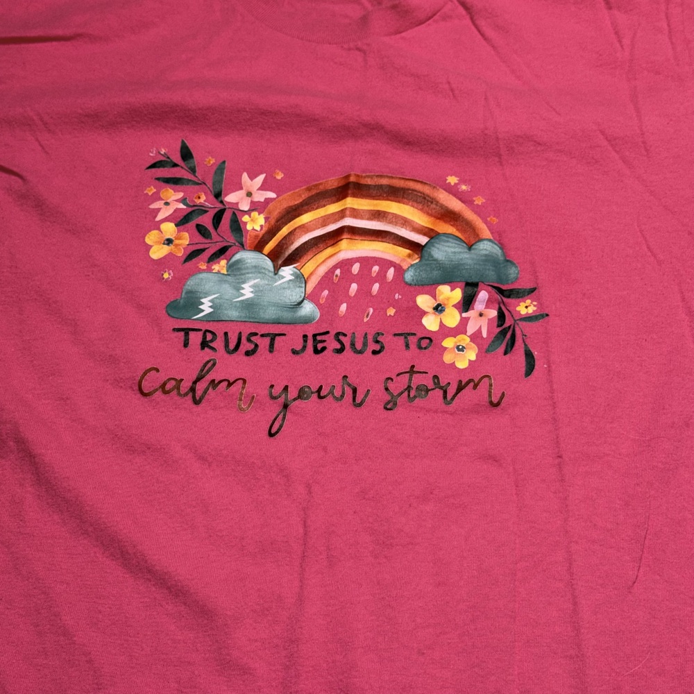 Trust Jesus To Calm Your Storm Graphic Tee Womens L Pink - Picture 3 of 7